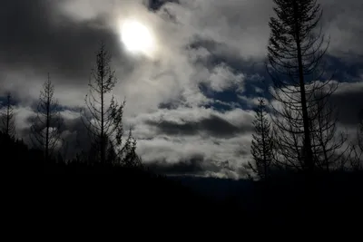 DSC_0876 (Large).JPG